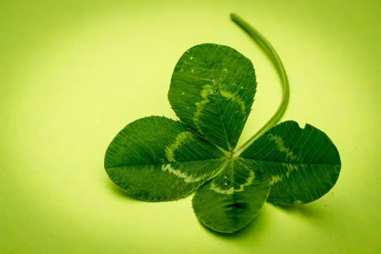 Best Wishes